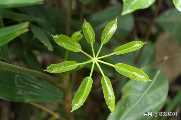 人生低谷时应该高兴，落魄时注意这三点，你就能转败为胜