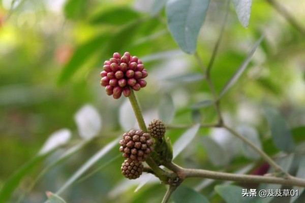 人生低谷时应该高兴，落魄时注意这三点，你就能转败为胜