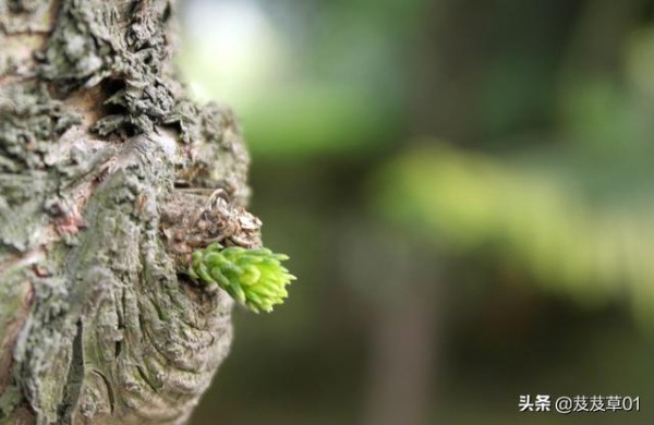 人生低谷时应该高兴，落魄时注意这三点，你就能转败为胜
