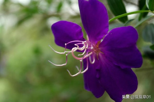 人生低谷时应该高兴，落魄时注意这三点，你就能转败为胜