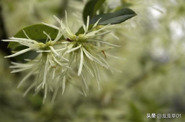 人生低谷时应该高兴，落魄时注意这三点，你就能转败为胜