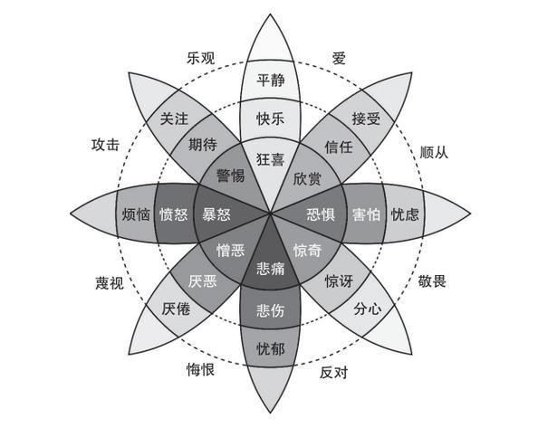 从情绪管理到注意力提升：创造更幸福的生活