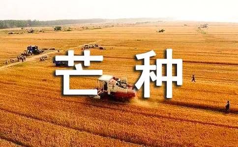 芒种公众号文案推文