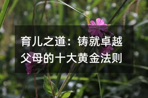 育儿之道:铸就卓越父母的十大黄金法则
