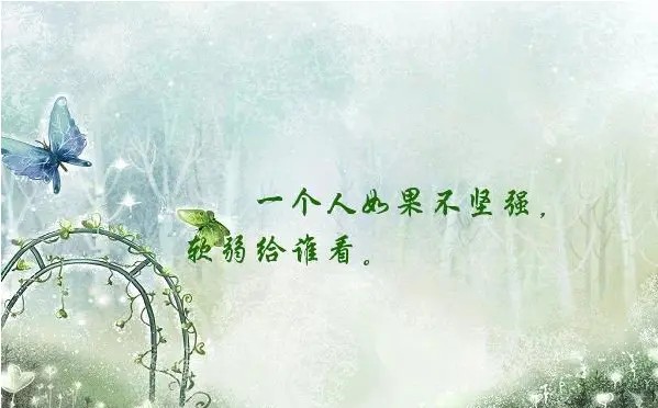 Resize,w 360,h 240