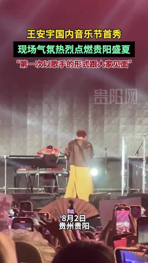 王安宇国内音乐节首秀亮相贵阳,首度以歌手身份登台