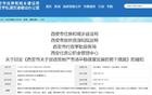 当合肥豪赌京东方时，西安在干什么？