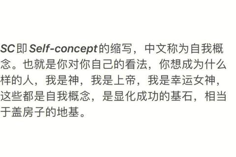 SP什么意思_全面解析SP的多重含义与实际应用场景