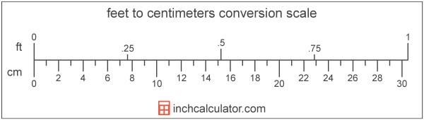 conversion scale showing centimeters and equivalent feet length values