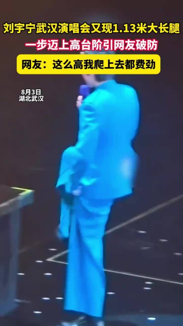 刘宇宁演唱会又现1.13米大长腿