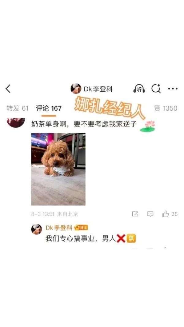 宠物狗照片与“娜扎经纪人”评论内容结合的趣味截图