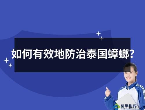 如何有效地防治泰国蟑螂？