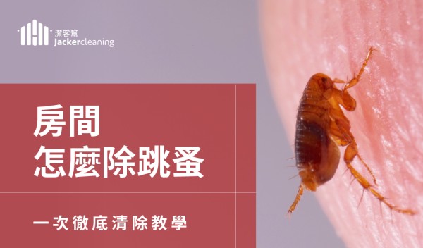 房間怎麼除跳蚤怎麼辦？本篇圖解分析跳蚤咬痕，教你去除跳蚤