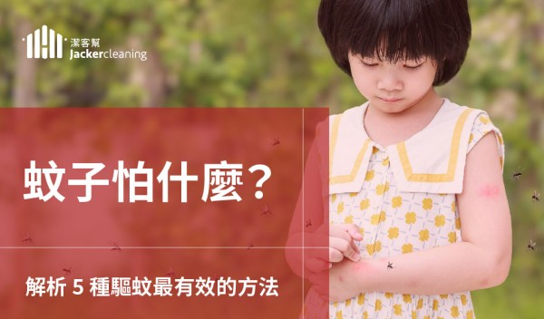 蚊子怕什麼？解析 5 種居家驅蚊最有效方法