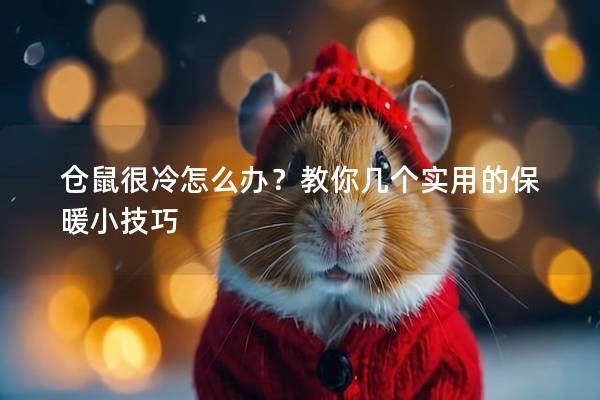 仓鼠很冷怎么办？教你几个实用的保暖小技巧