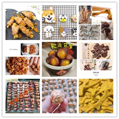 宠物烘焙技术视频，开启宠物美食DIY的新纪元