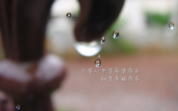 网站建设岗位能力，核心技能与职业发展指南