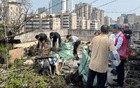 向蚊子“开战”