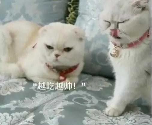 抖音10大人气排行: 宁哥垫底, 莉哥仅第五, 第一就是太火