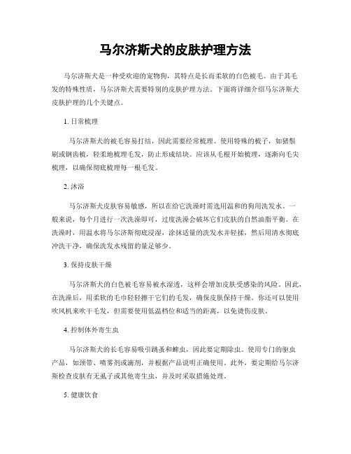 马尔济斯犬的皮肤护理方法