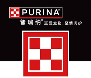 历史