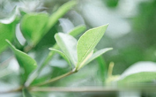 14句灵感迸发的文案，带你走进与众不同的生活美学