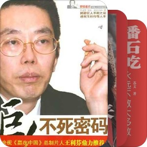 中国式励志名人传记