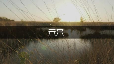 未来职业规划书范文（热门9篇）