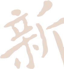 美丽处方 女人自我塑造手册 女人书籍修养气质 优雅自我提升书籍 气质 修养书籍女性 提升自己修养