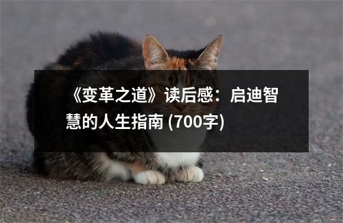 《变革之道》读后感：启迪智慧的人生指南 (700字)