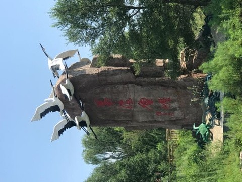 盘锦旅游图片