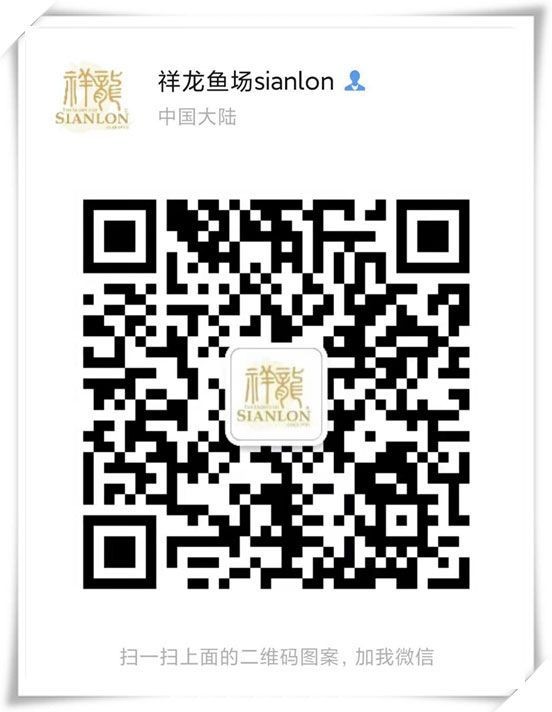 2017大家新年快乐（2017大家新年快乐,=鱼友评论） 观赏鱼论坛 第1张