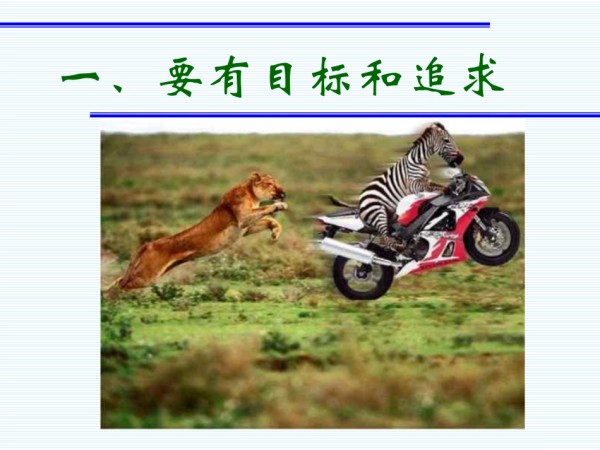 动物的快乐哲学.pdf_第2页