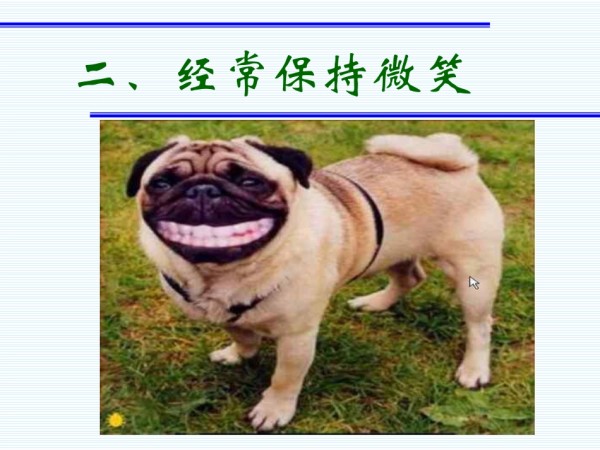 动物的快乐哲学.pdf_第3页