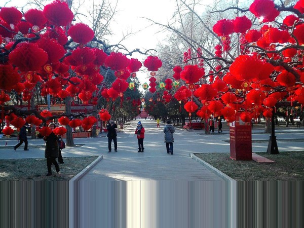 中国的传统节日有哪些？每个节日都有什么习俗？