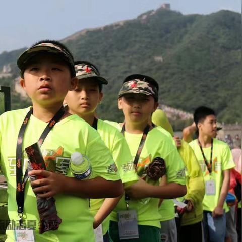 励志语录视频集锦，激发无限潜力，引领成功之路
