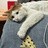 这是大兄弟阿猫