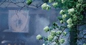 人活着,没必要凡事都争个明白。