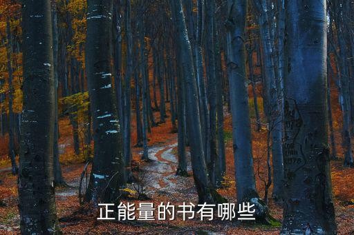 正能量的书有哪些