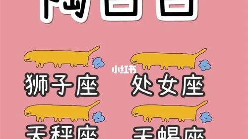 今天双鱼座运势星座屋—探寻星象奥秘下的情感与机遇之旅