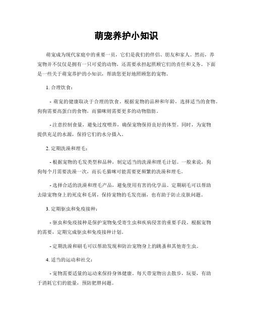 萌宠养护小知识