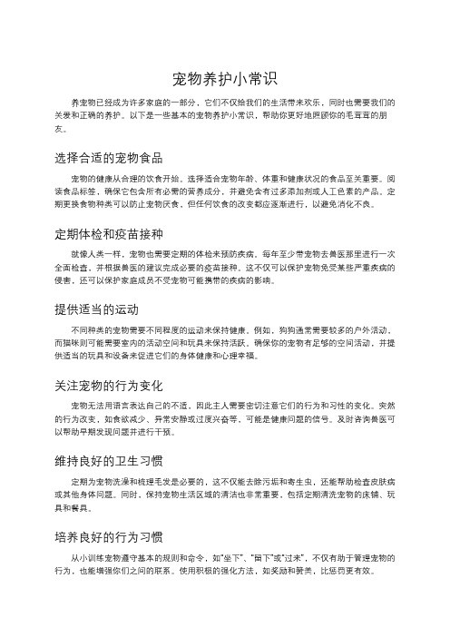 宠物养护小常识