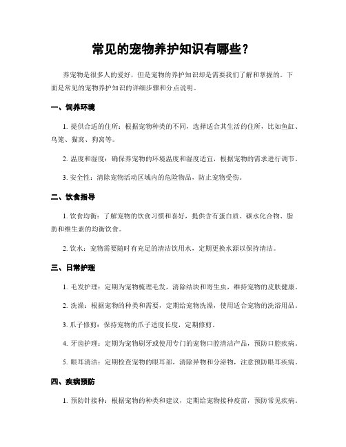 常见的宠物养护知识有哪些？