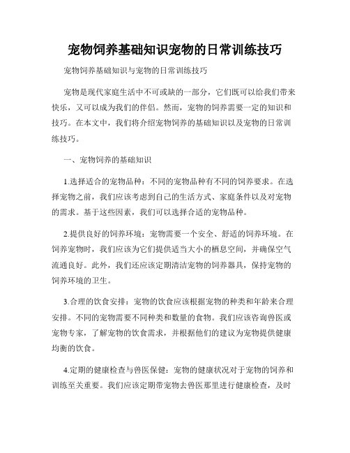 宠物饲养基础知识宠物的日常训练技巧