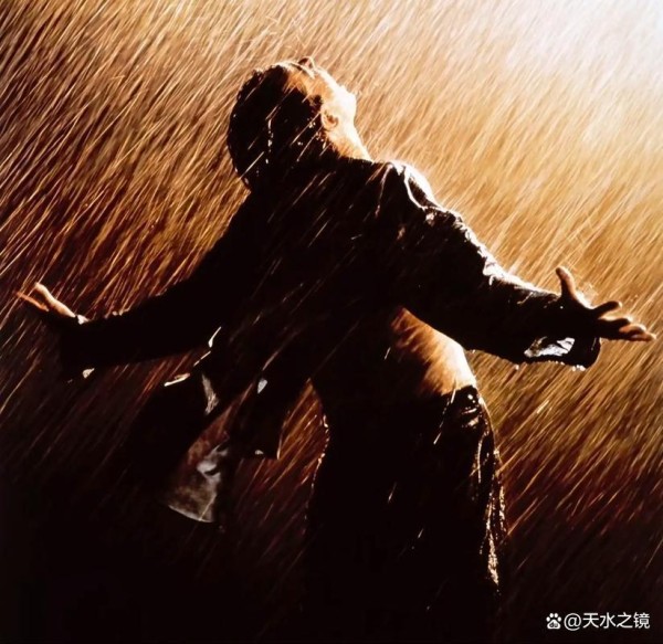 十部必看经典电影推荐：光影长河中的永恒瑰宝