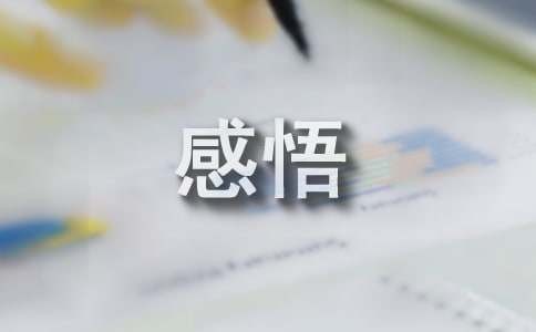 乐观人生的感悟个性签名240句