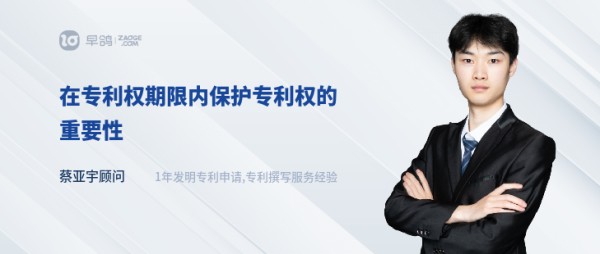 在专利权期限内保护专利权的重要性