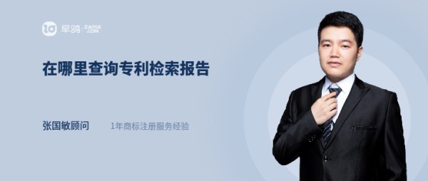 在哪里查询专利检索报告