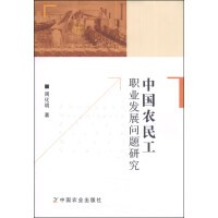 中国农民工职业发展问题研究