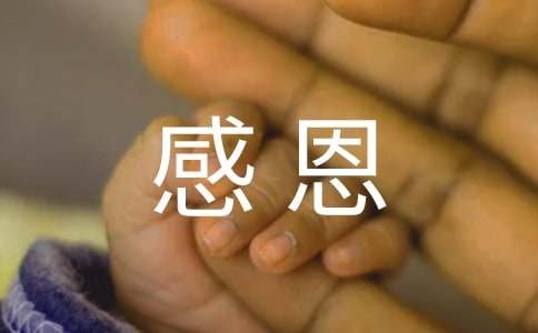 感恩<a target=